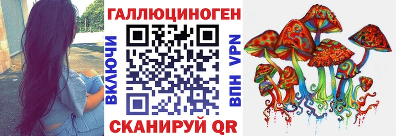 хочу наркоту  даркнет телеграм  Галлюциногенные грибы Psilocybine cubensis  Ленинградская 